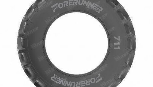 Шина 710/70R38 171A8/171B QH711 R-1W ForeRunner TL - фото 3