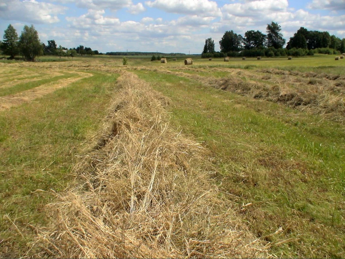 Грабли-ворошилки ГВР-3 купить, цена